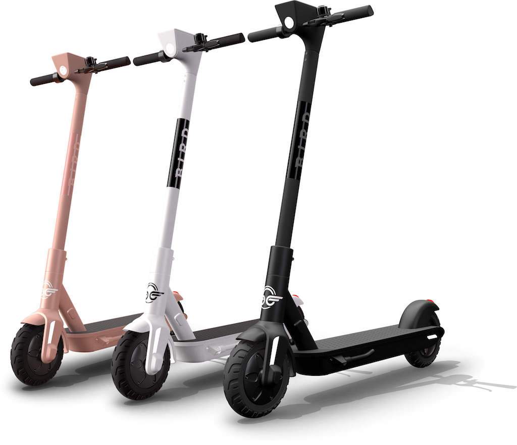 Bird One Electric Scooter – Raine Electric Scooters
